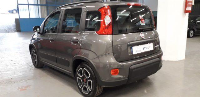 FIAT Panda 1.0 FireFly S&S Hybrid 70 CV CITY LIFE