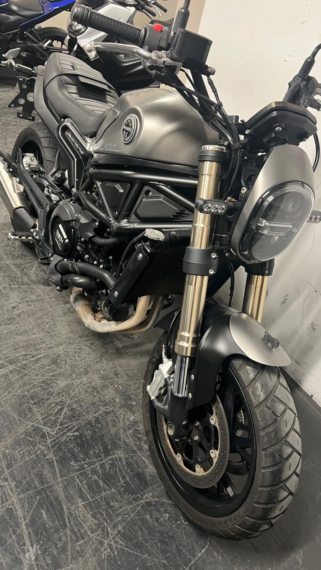 Benelli Leoncino 800