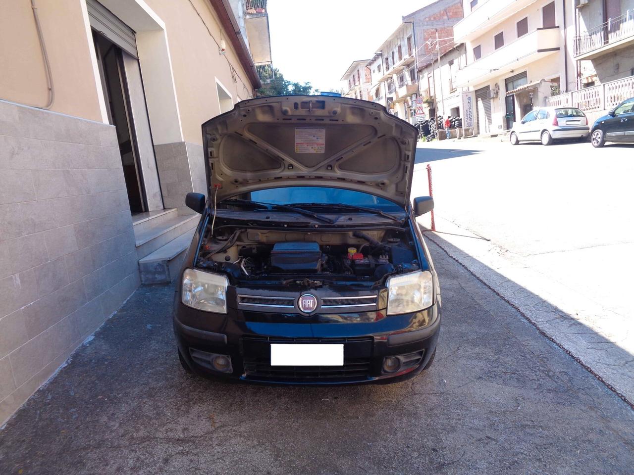 Fiat Panda 1.2 Dynamic (Finanziabile)