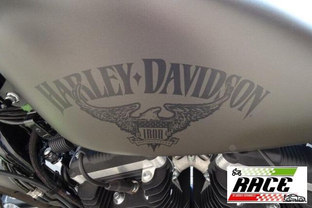 Harley-Davidson - Sportster - 883 Iron- XL 883N