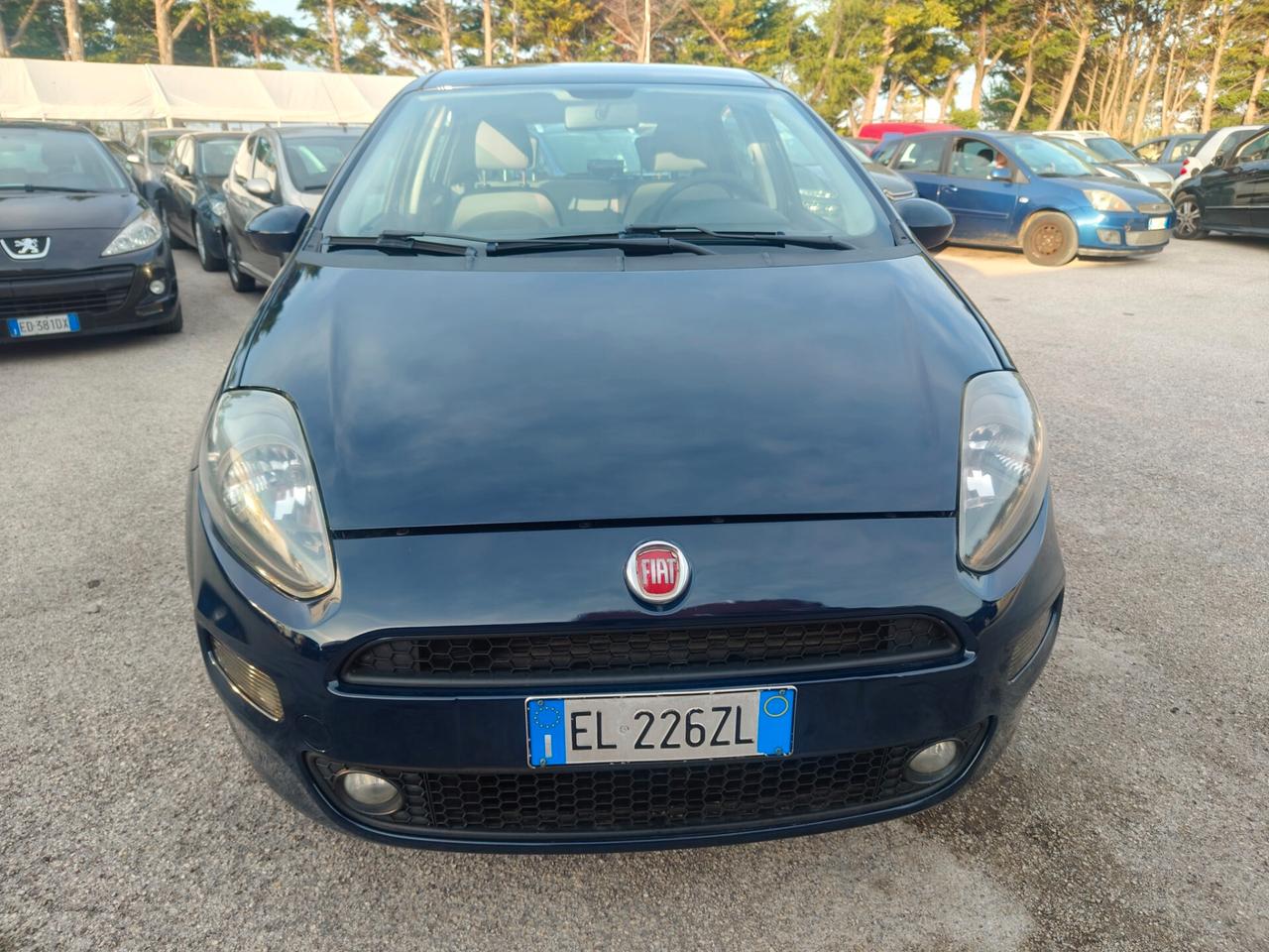 Fiat Punto Evo 1.4 5 porte Dynamic Natural Power