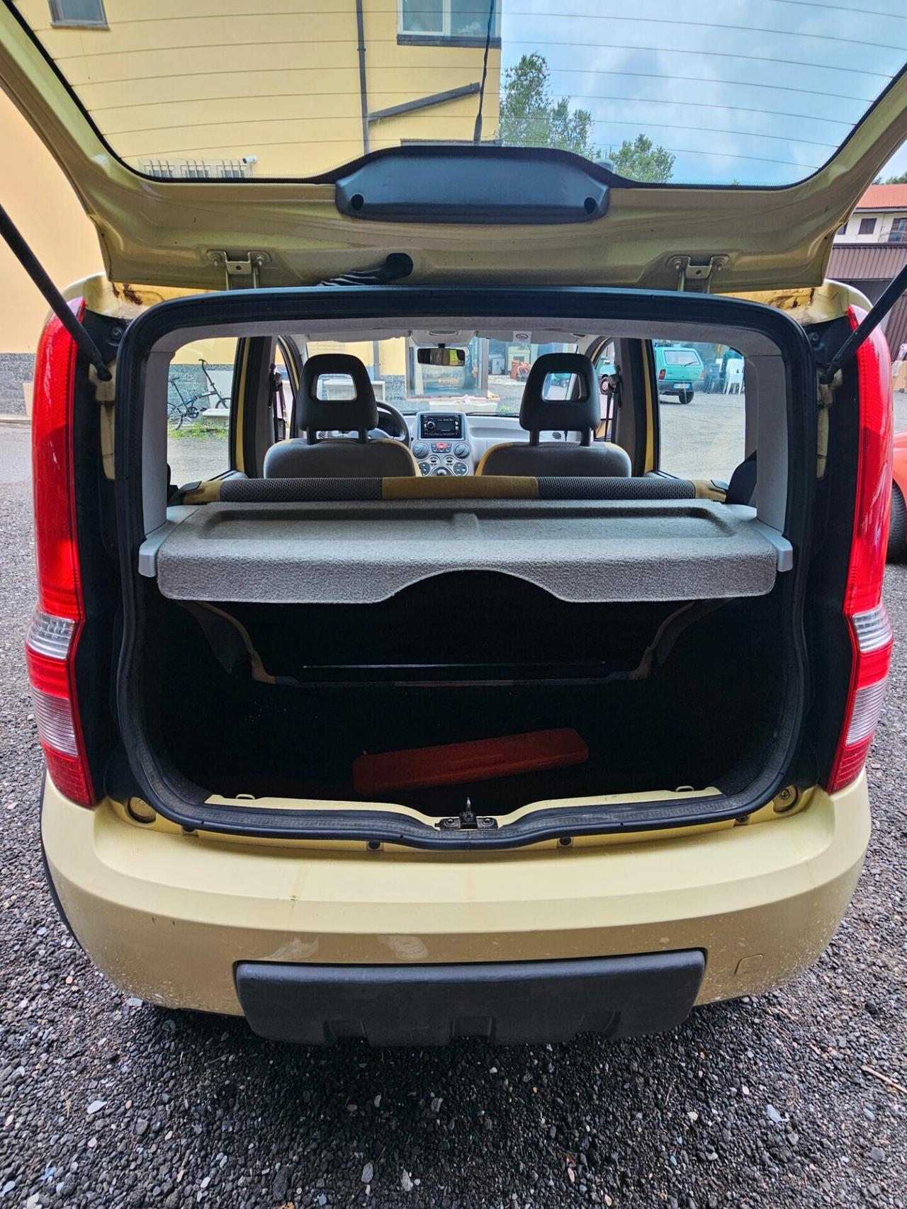 Fiat Panda 4X4 1.2 Benzina