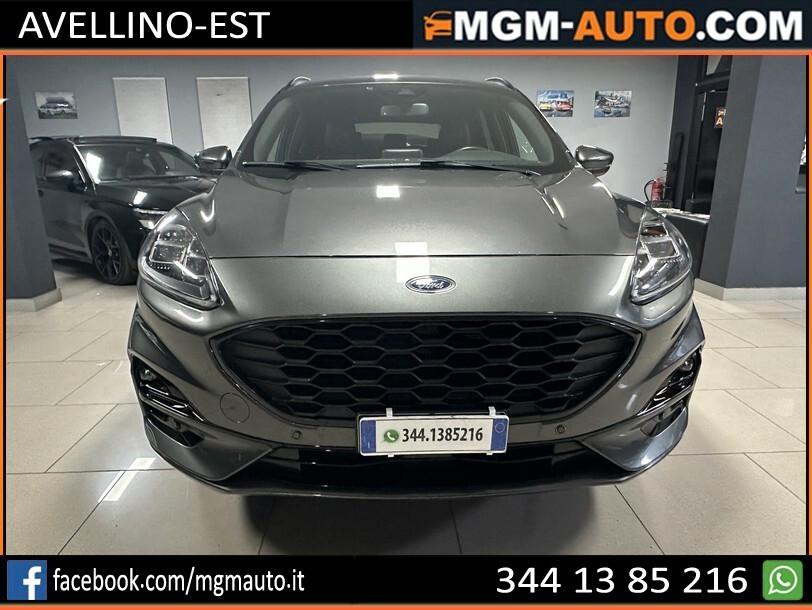 Ford Kuga 1.5 EcoBlue 120 CV aut. 2WD ST-Line X