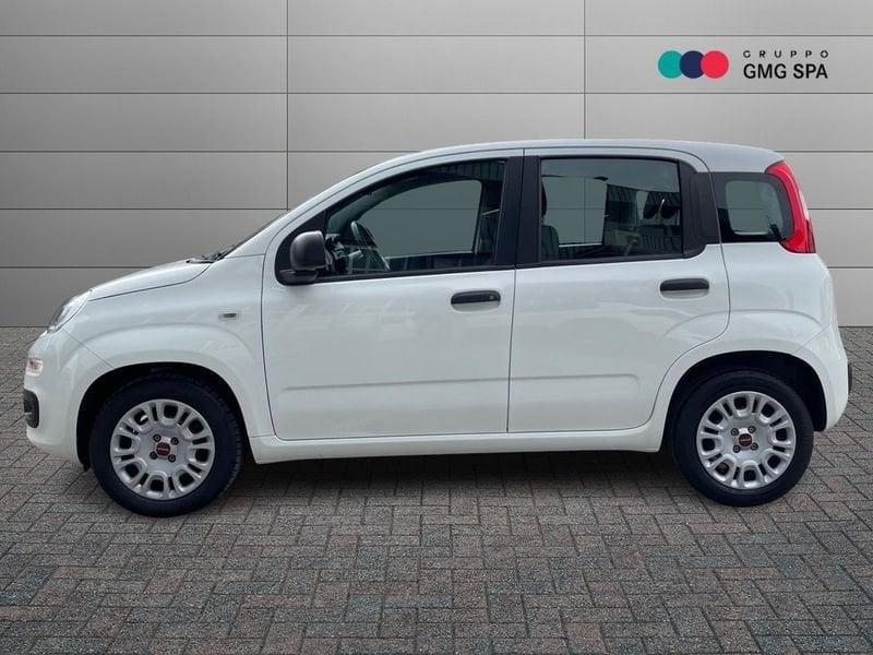 FIAT Panda 1.2 Easy s&s 69cv my19