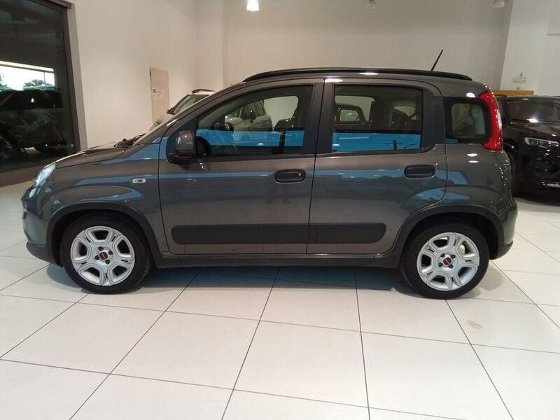FIAT Panda Panda 1.0 firefly hybrid s&s 70cv 5p.ti