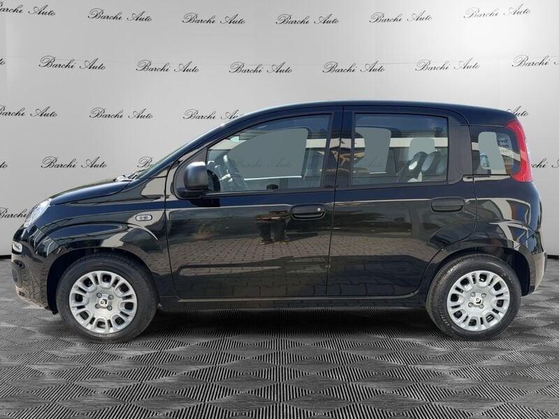 FIAT Pandina Pandina 1.0 firefly hybrid KM0 - Disponibili Versioni Pop e Icon
