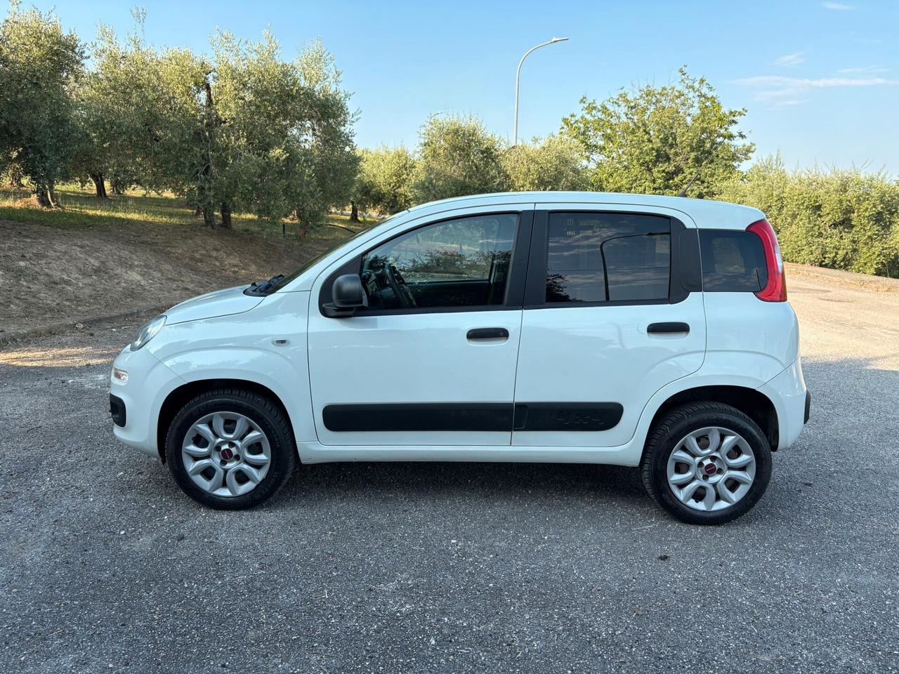 FIAT Panda 0.9Turbo S&S 4x4 Eld Pop N1-Van - 2019