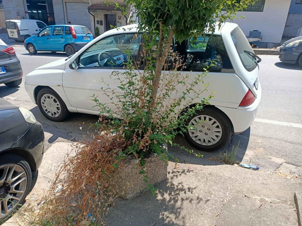 Lancia Y 1.2 fire in buone condizioni gommata e aria condizionata