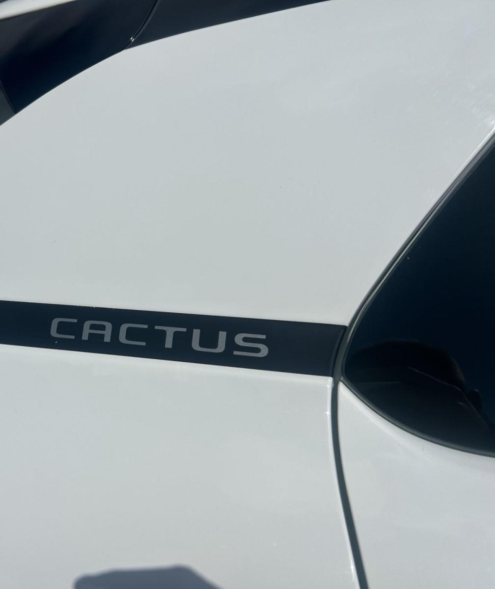 CITROEN - C4 Cactus - 1.5 BlueHDi 120 S&S EAT6 Shine