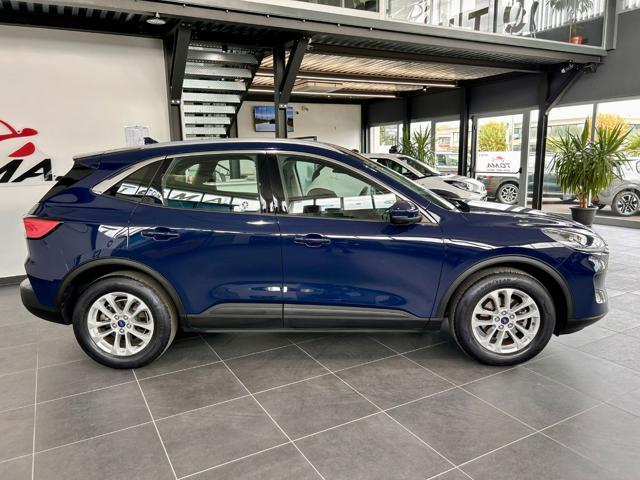 FORD Kuga 1.5 EcoBlue 120 CV 2WD Titanium Business