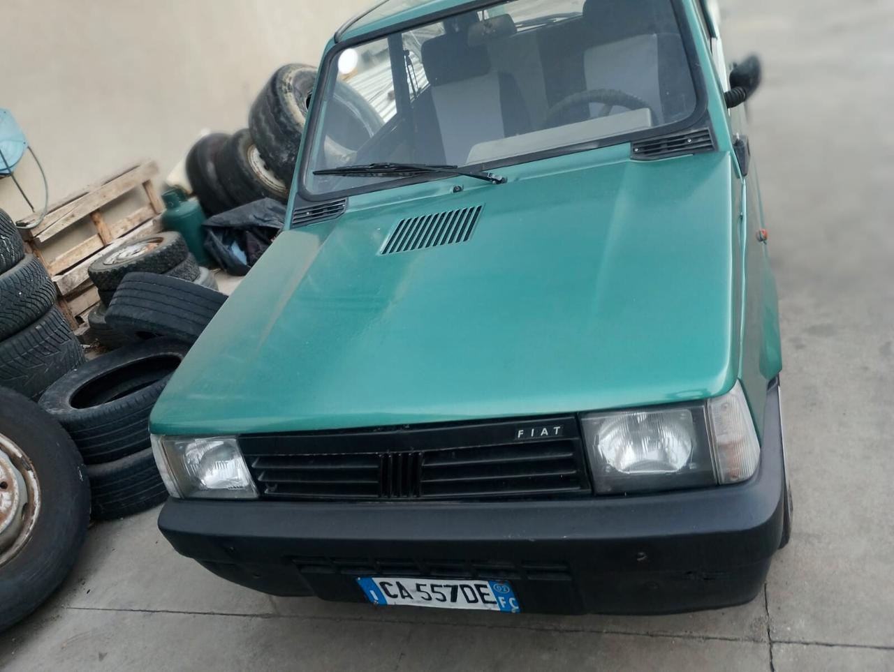 Fiat Panda 1100 i.e. cat Young