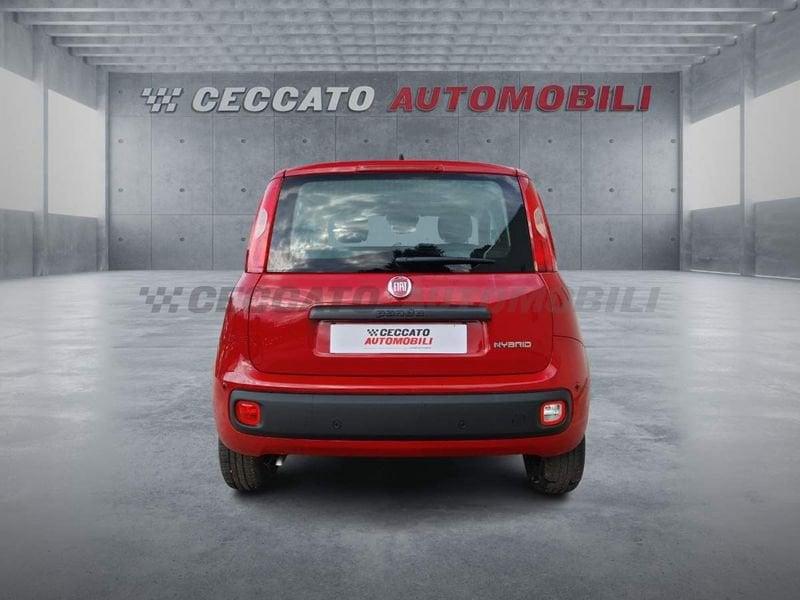 FIAT Panda Panda 1.0 70cv Hybrid Pop