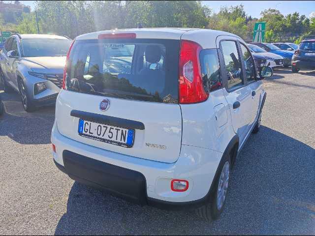 FIAT Panda 1.0 firefly hybrid s&s 70cv