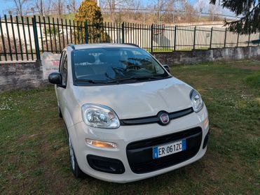 Fiat Panda 1.2 Easy UNICO PROPRIETARIO