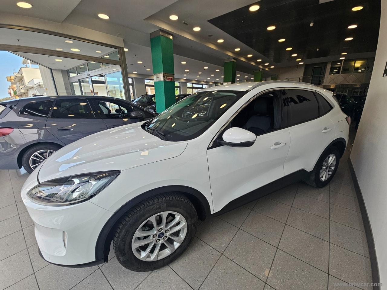 FORD Kuga 2.0 EcoBlue 120 CV aut 2WD Tit.Bus.