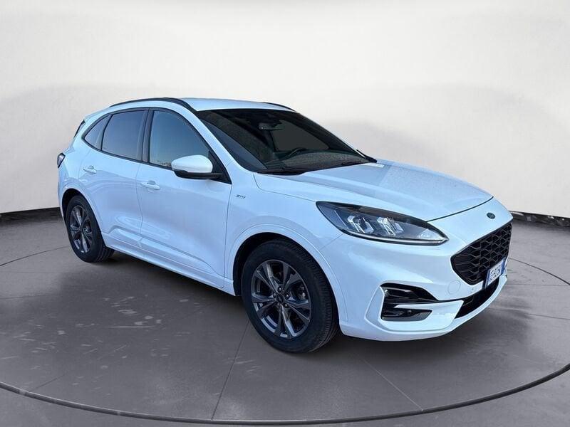 Ford Kuga Kuga 1.5 EcoBlue 120 CV aut. 2WD ST-Line