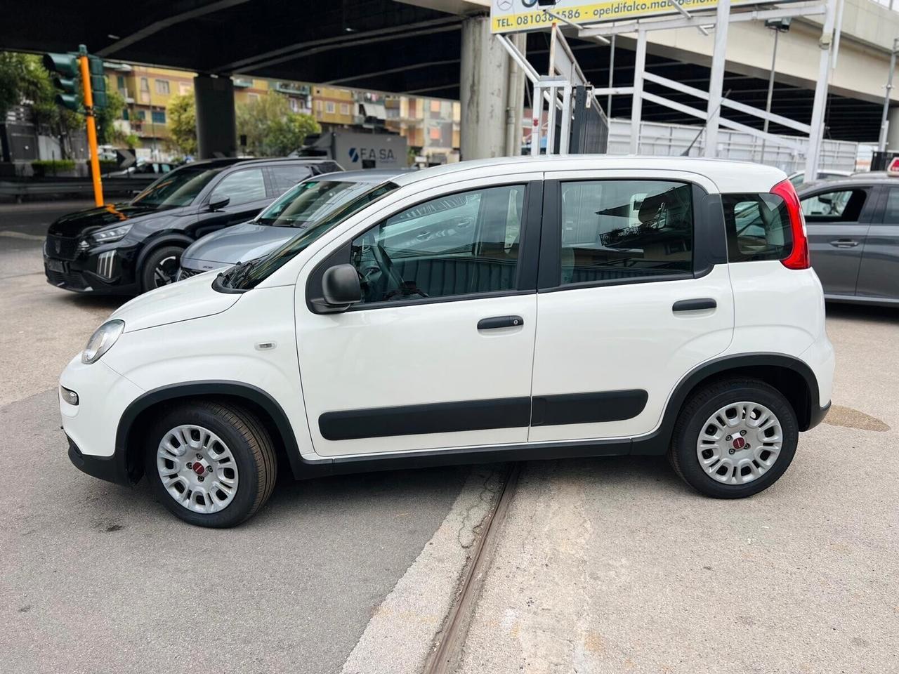 Fiat Panda 1.0 FireFly S&S Hybrid - 2022