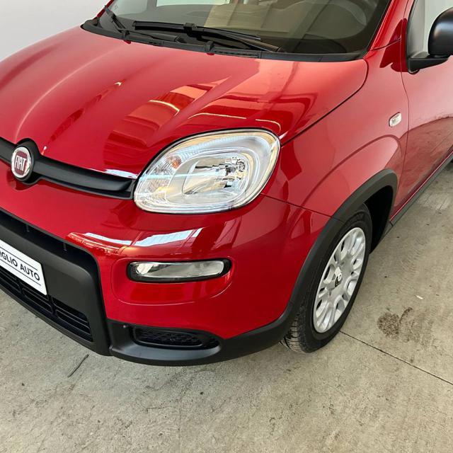 FIAT Panda 1.0 FireFly S&S Hybrid PREZZO VERO