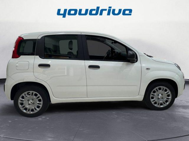 FIAT New Panda 1.0 FireFly S&S Hybrid+5P+PACK CITY KM0