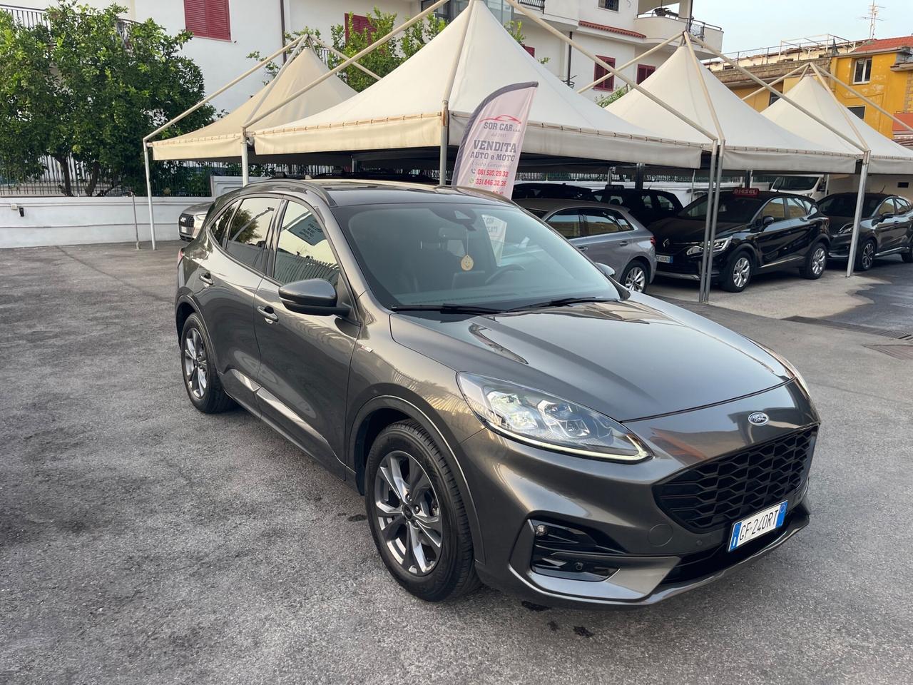 Ford Kuga 1.5 EcoBlue 120 CV aut. 2WD ST-Line X KM CERTIFICATI!!!
