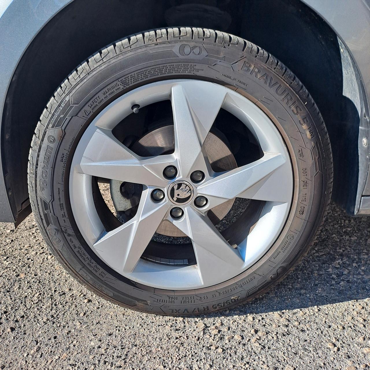 Skoda Kamiq 1.0 Tsi 110Cv Dsg Style