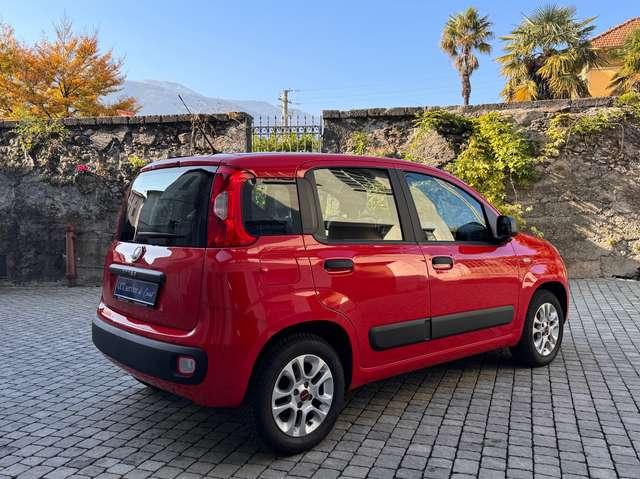 Fiat Panda 1.2 Easy *OK Neopatentati*