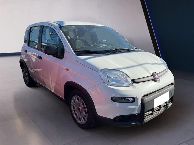 FIAT Panda My23 1.0 70cv Hybrid Panda