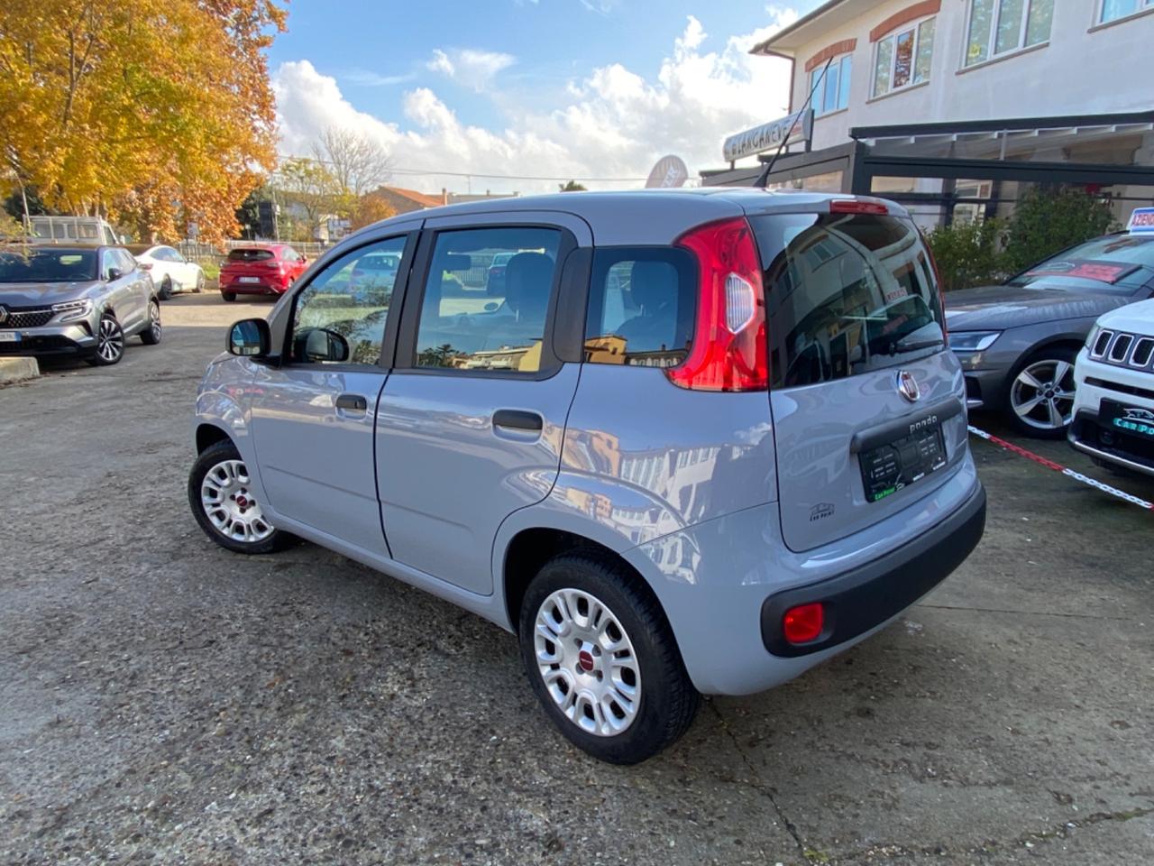 Fiat Panda 1.2 Easy PREZZO REALE