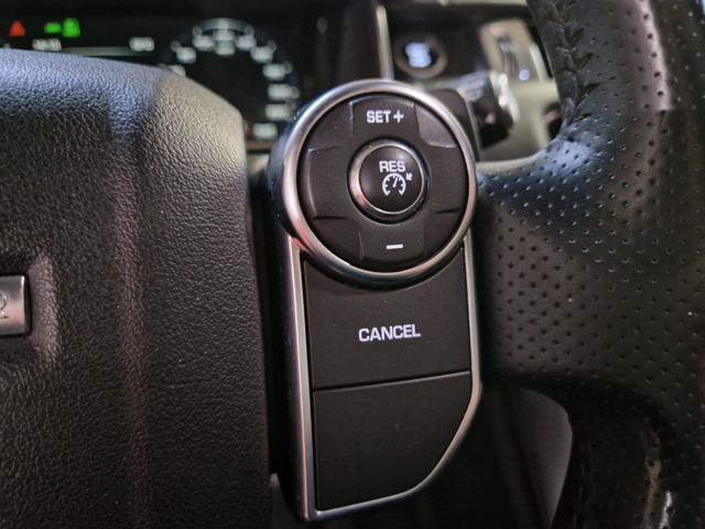 LAND ROVER Range Rover Sport 3000 TDV6 CV.250 DYNAMIC +TETTO+PEDANE +21'