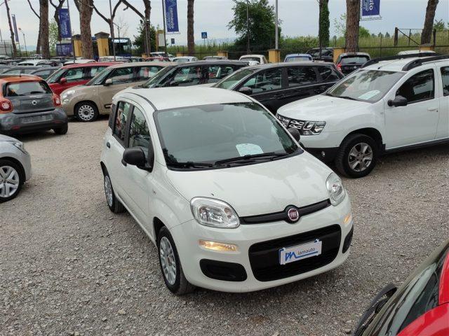 FIAT Panda 1.2 Easy CLIMATIZZATORE OK NEOPATENTATI