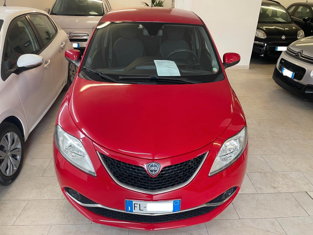 Lancia Y Ypsilon 1.2 Silver Tagliandata Distribuzione Neopatentati