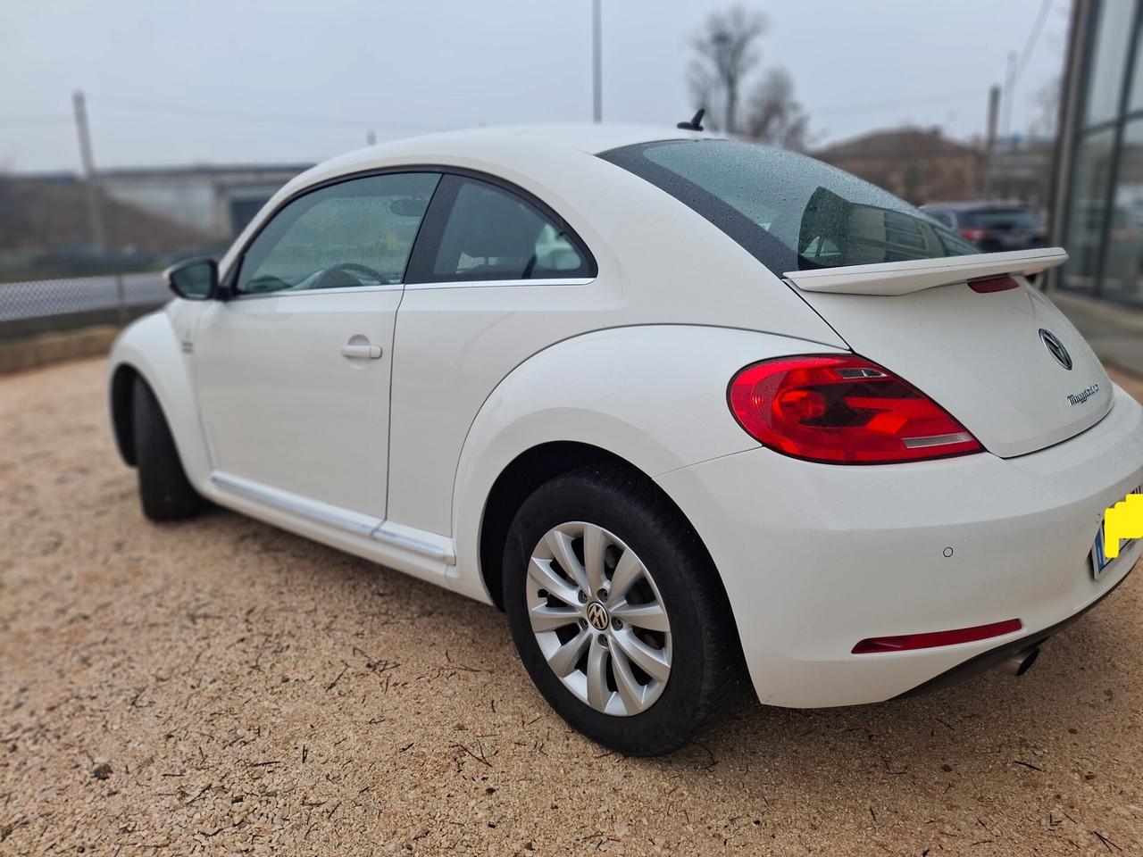 VW Maggiolino 1.6 TDI Design