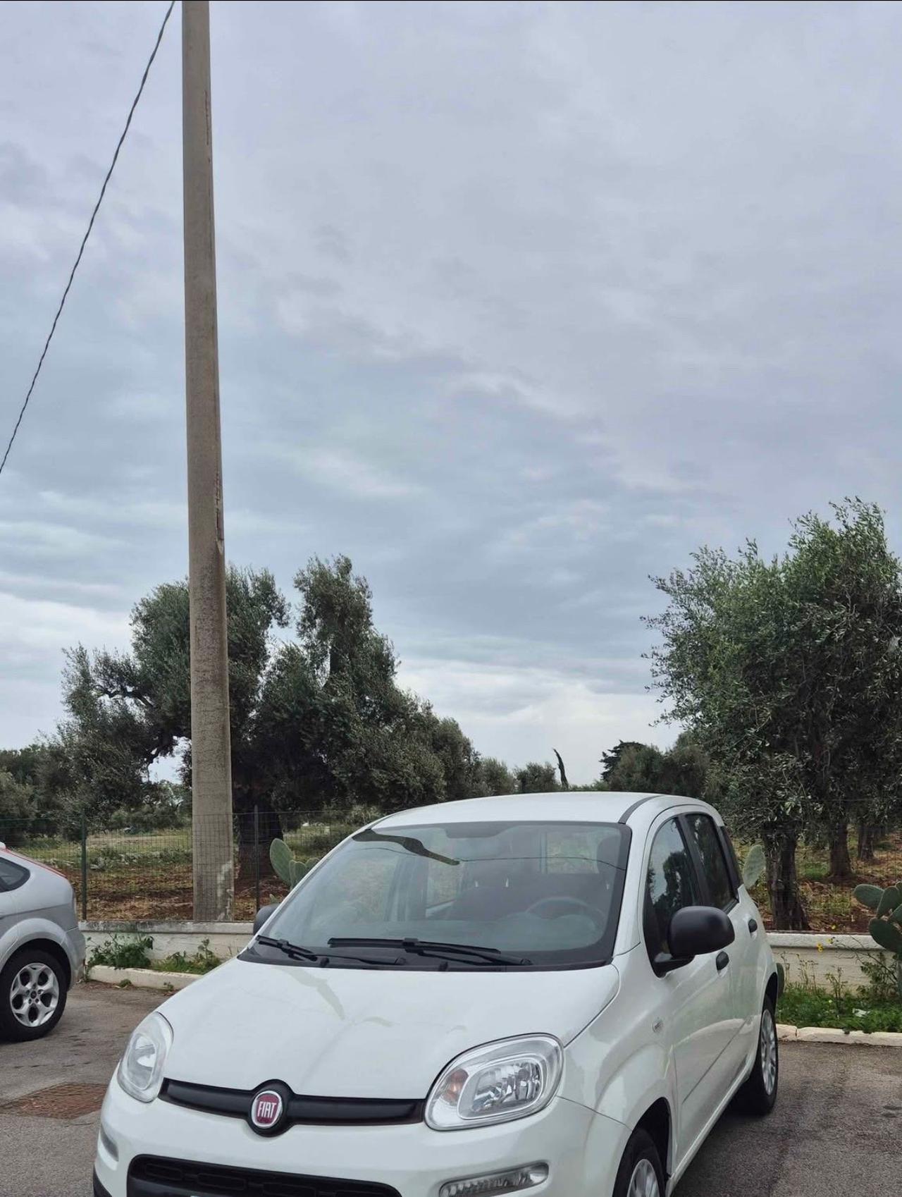 Fiat Panda 1.2 EasyPower Easy