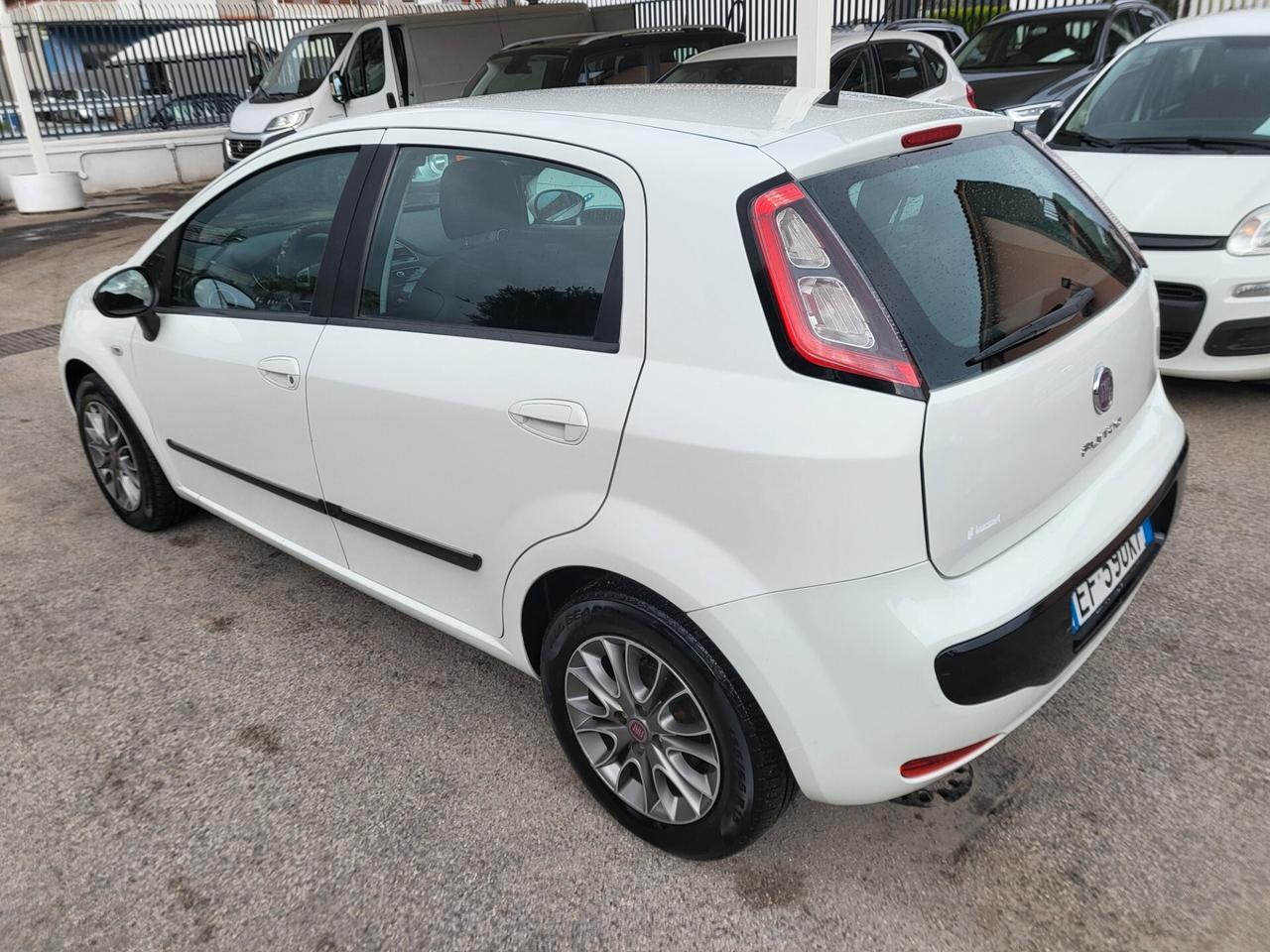 Fiat Punto Evo 1.3 Mjt 75 CV DPF 5 porte S&S Dynamic