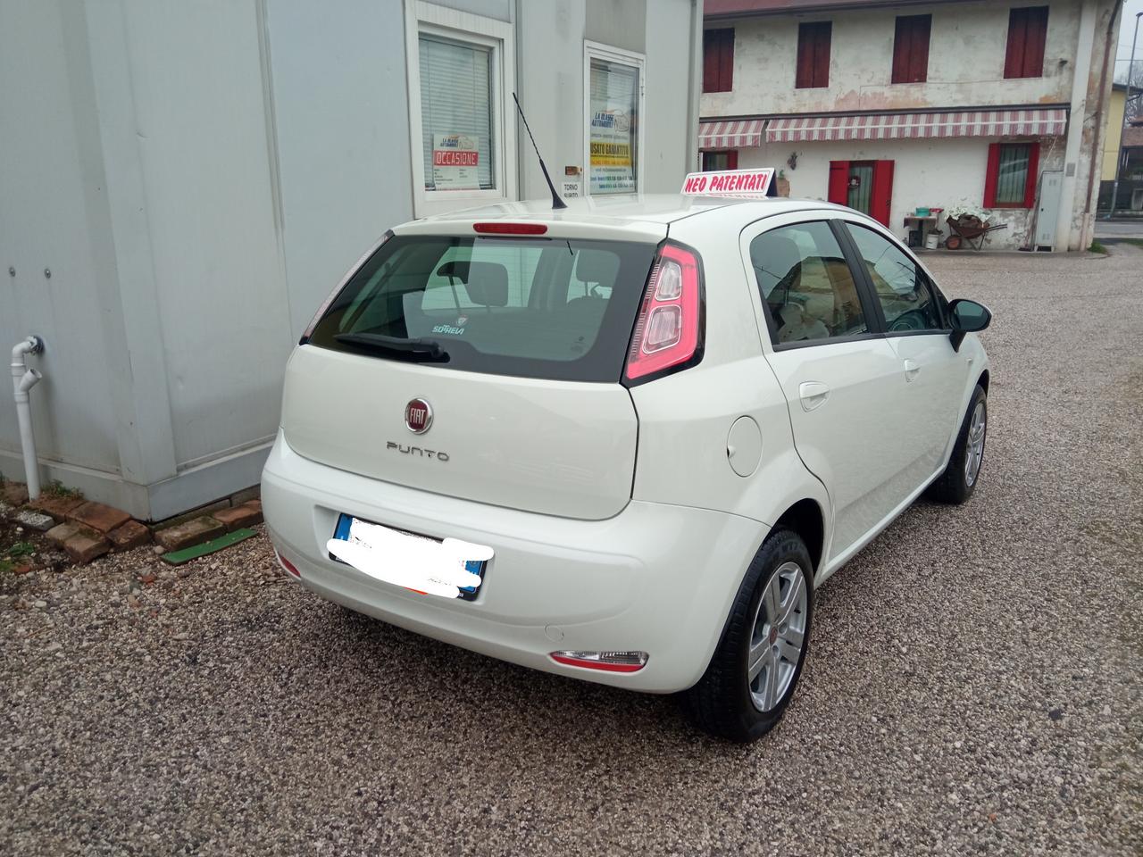 Fiat Punto Evo 1.3 MTJ VAN 5 POSTI 2017
