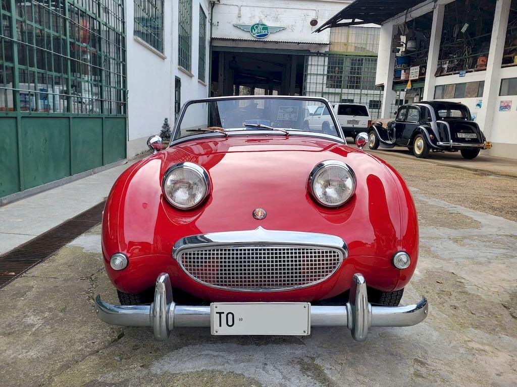 Austin-Healey Sprite MKI Frogeye – 1960 - SUMMER PRICE