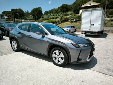 Lexus UX UX Hybrid Business