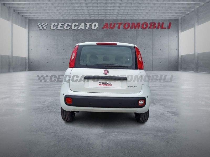 FIAT Panda Panda 1.0 firefly hybrid s&s 70cv