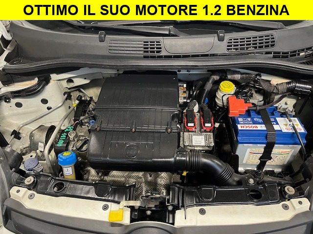 FIAT Panda 1.2 Benzina Neopatentati