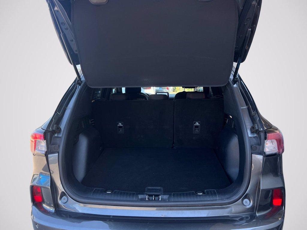 FORD Kuga 1.5 EcoBlue 120 CV 2WD ST-Line del 2022
