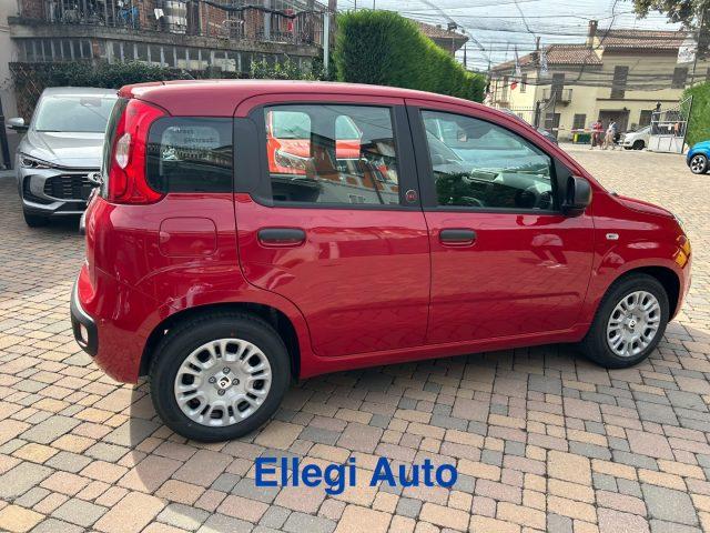 FIAT Pandina PROMO FINANZIAM 1.0 FireFly 65 CV Hybrid Pop KM 0