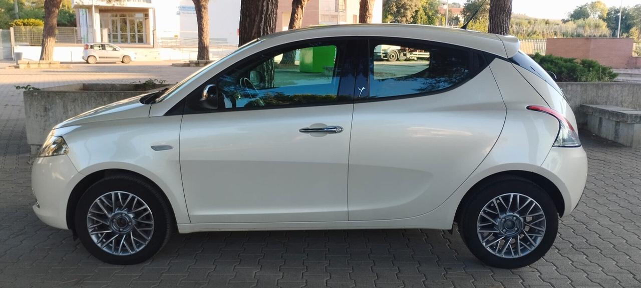 Lancia Ypsilon 1.2 69 CV 5 porte S&S Platinum