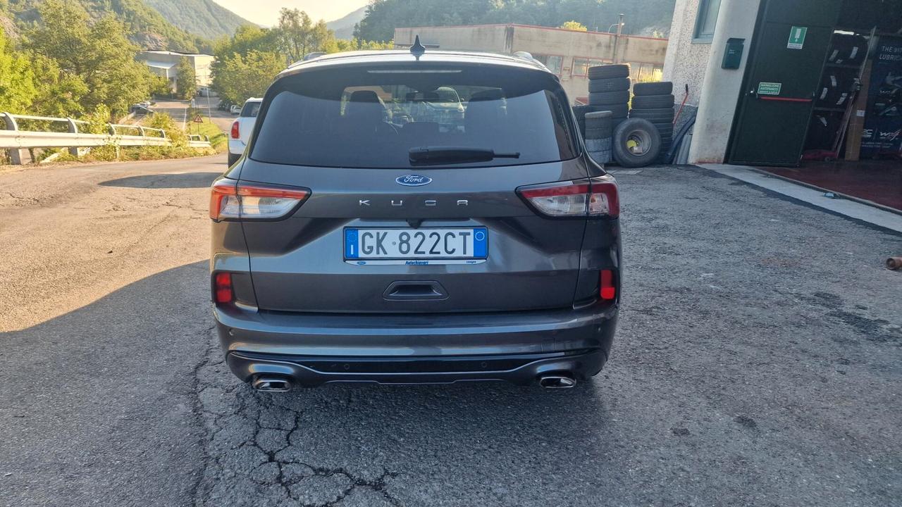 Ford Kuga 1.5 EcoBlue 120 CV 2WD ST-Line