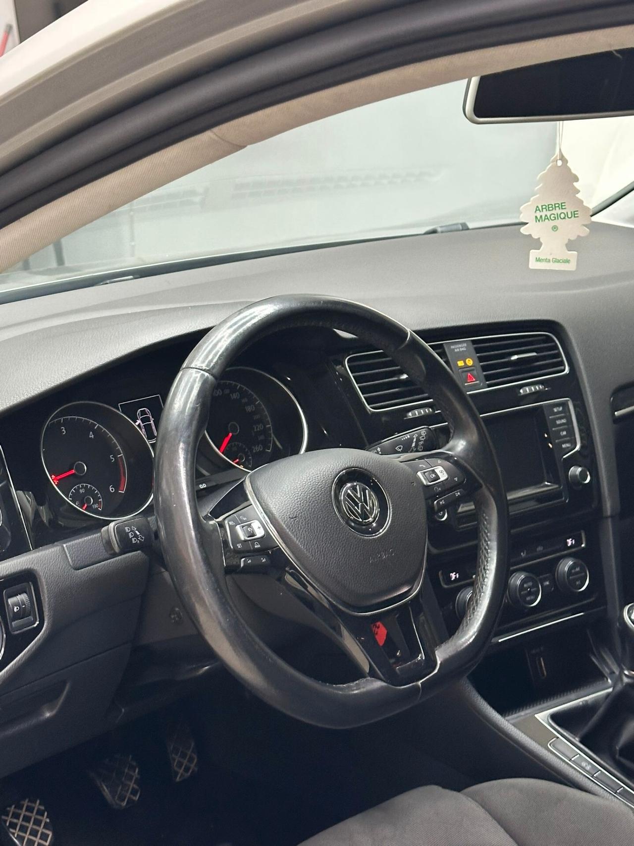 Volkswagen Golf 1.6 TDI 110 CV BlueMotion