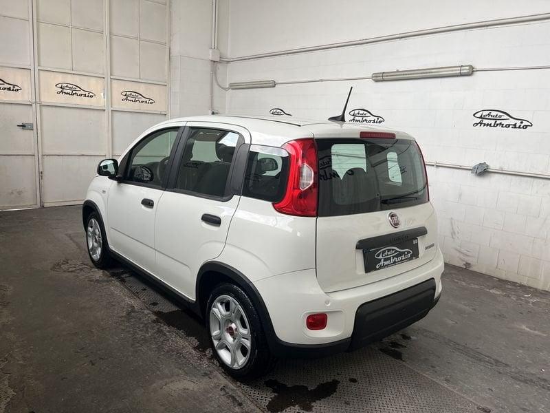 FIAT Panda Panda 1.0 firefly hybrid s&s 70cv