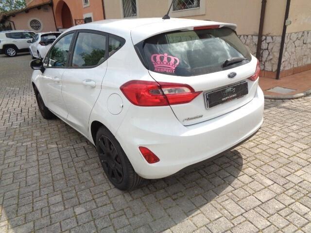 Ford Fiesta 1.5 TDCi 5 porte Plus 85 CV DA PREPARARE