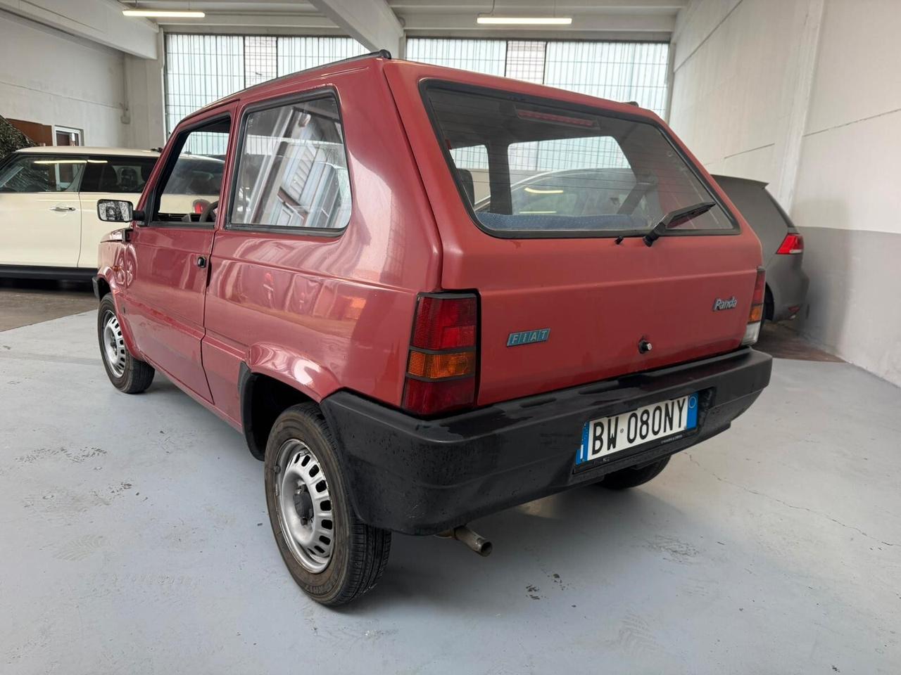 Fiat Panda 1100 i.e. cat Young
