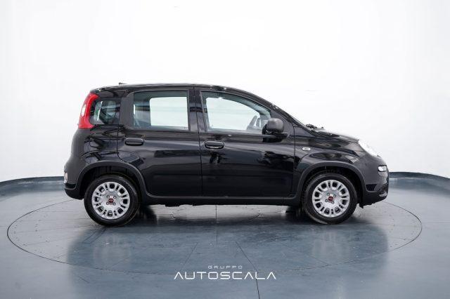 FIAT New Panda 1.0 FireFly S&S Hybrid Pack City