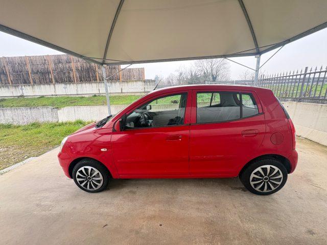 KIA Picanto 1.1 12V Fresh OK NEOPATENTATI PRIMO PREZZO