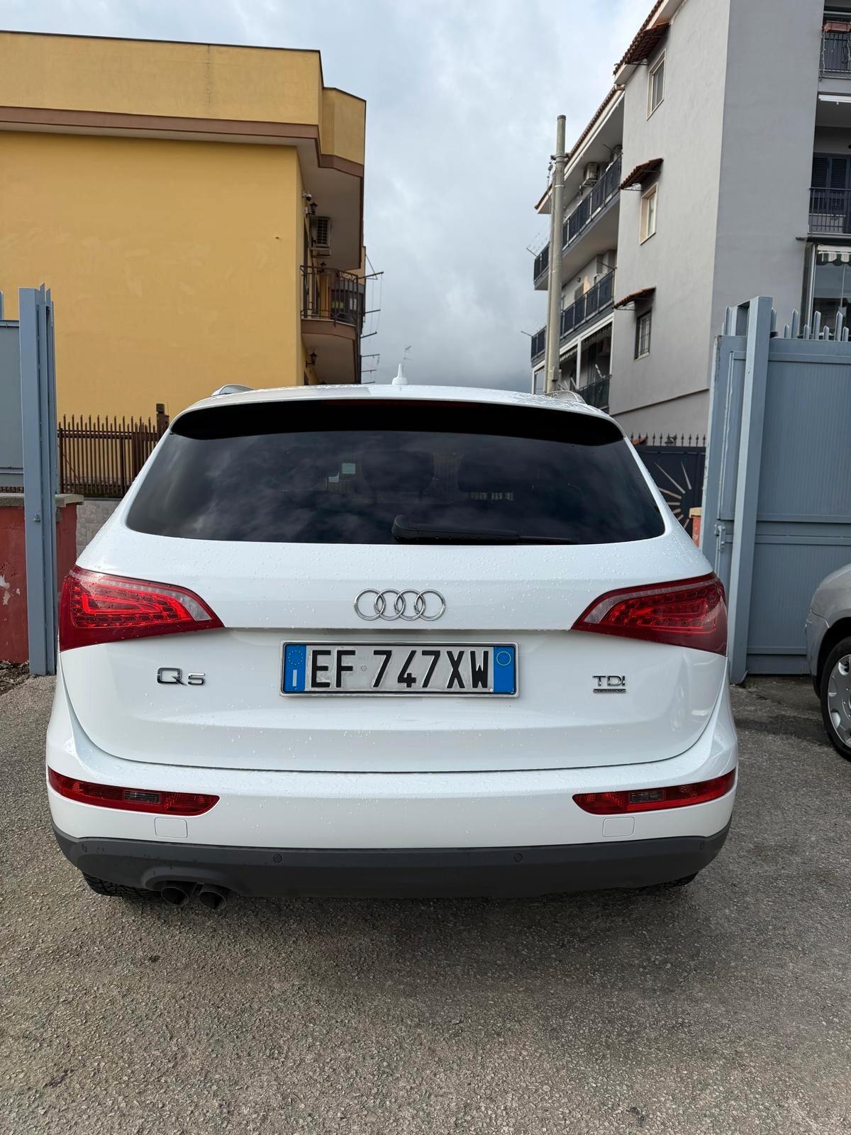 Audi Q5 2.0 TDI 170 CV quattro S tronic Advanced Plus
